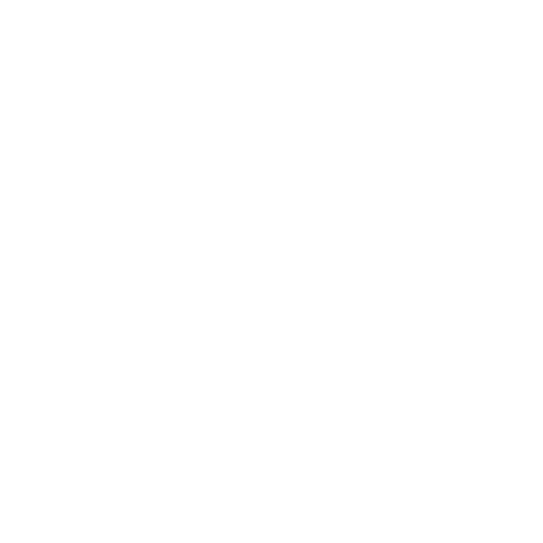 The Plumber